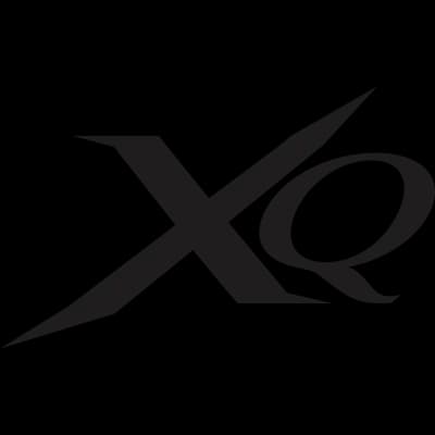 XQ Max Darts